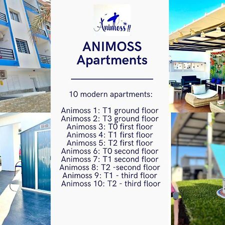 Animos! Apartments - 10 Modern Apartments Near The City & Beach, Perfect For Nomads, Travellers, Families, Watersports! Santa Maria Exterior foto